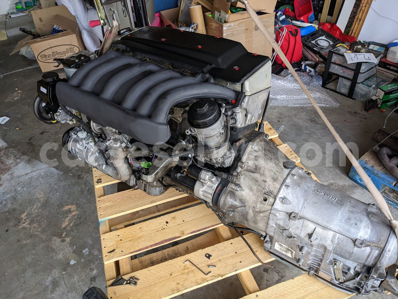 Big with watermark d