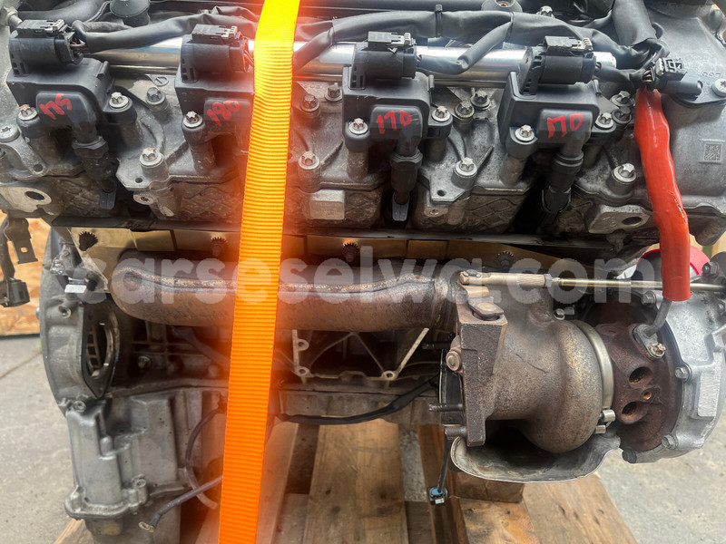 Big with watermark h