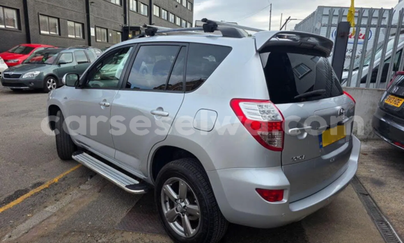 Buy Used Toyota RAV4 Silver Car in Victoria in East africa Buy Used Toyota RAV4 Silver Car in Victoria in East africa