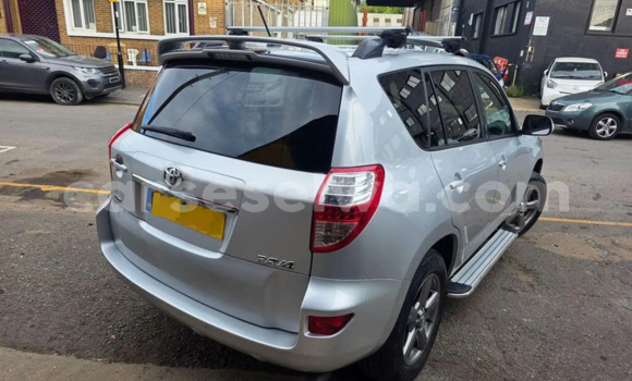 Buy Used Toyota RAV4 Silver Car in Victoria in East africa Buy Used Toyota RAV4 Silver Car in Victoria in East africa