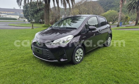 Buy Used Toyota Vitz Black Car in Saint Louis in Greater Victoria