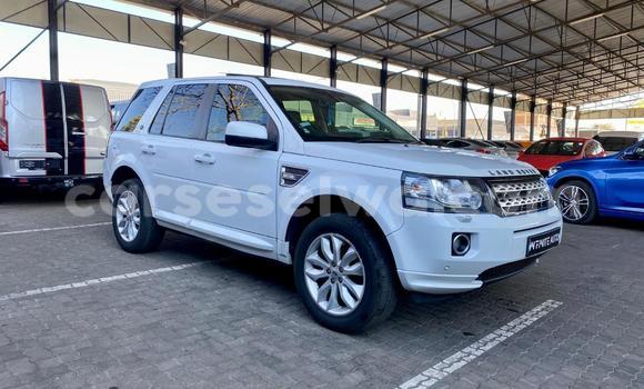 Buy Used Land Rover Freelander White Car in Victoria in East africa