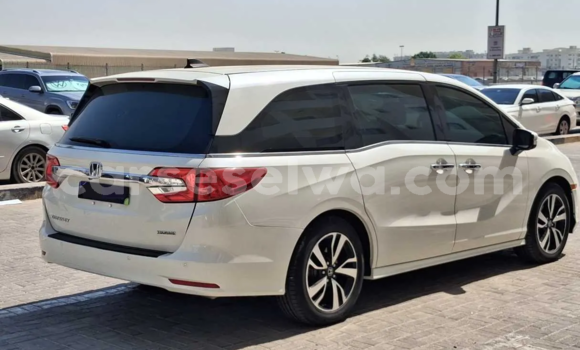Buy Used Honda Odyssey White Car in Victoria in East africa Buy Used Honda Odyssey White Car in Victoria in East africa