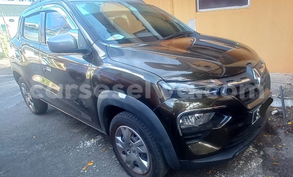Buy New Renault KWID Other Car in Victoria in East africa Buy New Renault KWID Other Car in Victoria in East africa
