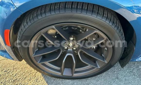 Acheter Occasion Voiture Dodge Charger Bleu à Plaisance, Grand Victoria Acheter Occasion Voiture Dodge Charger Bleu à Plaisance, Grand Victoria