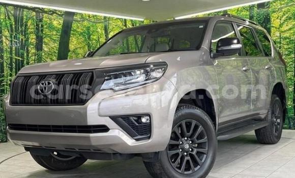Buy Used Toyota Land Cruiser Prado Black Car in Victoria in East africa