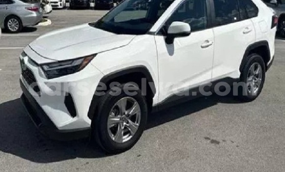 Buy Used Toyota RAV4 White Car in Anse Royale in South Mahé