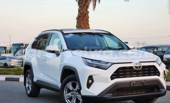 Buy Used Toyota RAV4 White Car in Anse Royale in South Mahé
