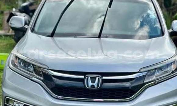Buy Used Honda Accord Other Car in Mahe in Victoria Buy Used Honda Accord Other Car in Mahe in Victoria