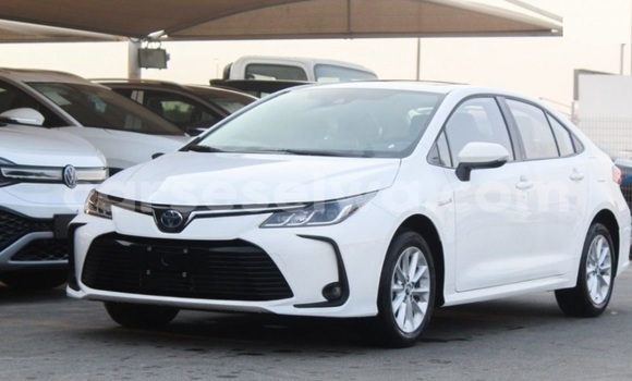 Buy Used Toyota Corolla White Car in Mahe in Victoria