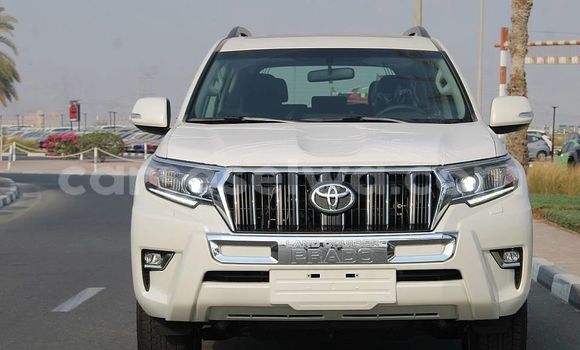 Buy Used Toyota Land Cruiser Prado White Car in Mahe in Victoria