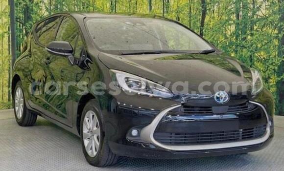 Buy Used Toyota Aqua Black Car in Victoria in East africa Buy Used Toyota Aqua Black Car in Victoria in East africa
