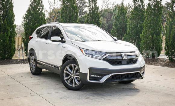 Buy Used Honda CR–V White Car in Mahe in Victoria