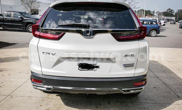 Buy Used Honda CR–V White Car in Mahe in Victoria Buy Used Honda CR–V White Car in Mahe in Victoria