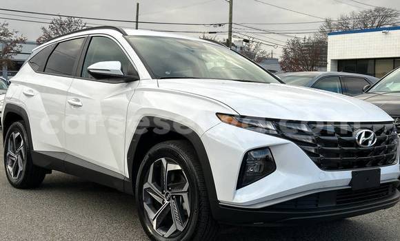 Buy Used Hyundai Tucson White Car in Bel Air in Greater Victoria