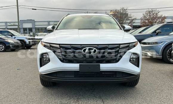 Buy Used Hyundai Tucson White Car in Bel Air in Greater Victoria Buy Used Hyundai Tucson White Car in Bel Air in Greater Victoria