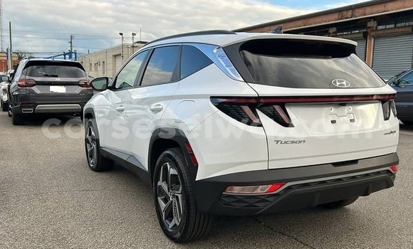 Buy Used Hyundai Tucson White Car in Bel Air in Greater Victoria Buy Used Hyundai Tucson White Car in Bel Air in Greater Victoria