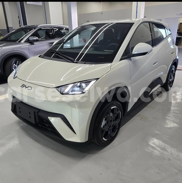 Big with watermark byd dolphin greater victoria bel air 8290