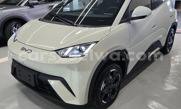 Buy Used BYD Dolphin White Car in Bel Air in Greater Victoria