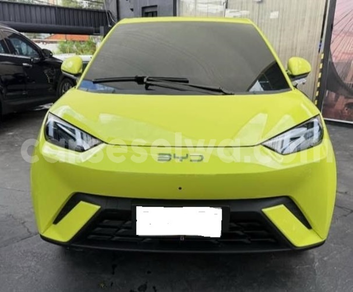 Big with watermark byd dolphin greater victoria bel air 8290