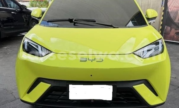 Buy Used BYD Dolphin White Car in Bel Air in Greater Victoria Buy Used BYD Dolphin White Car in Bel Air in Greater Victoria