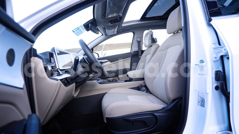 Big with watermark kia sportage greater victoria bel air 8301