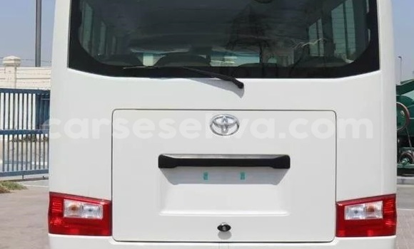 Buy Used Toyota Coaster White Car in Bel Ombre in West Mahé