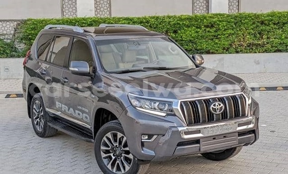 Buy Used Toyota Land Cruiser Prado White Car in Bel Air in Greater Victoria