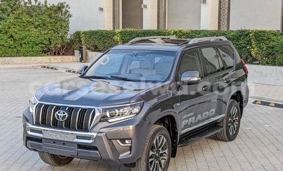 Buy Used Toyota Land Cruiser Prado White Car in Bel Air in Greater Victoria Buy Used Toyota Land Cruiser Prado White Car in Bel Air in Greater Victoria