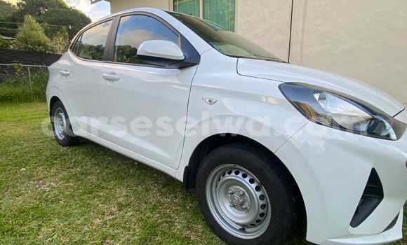 Buy Used Hyundai Grand i10 White Car in Bel Ombre in West Mahé Buy Used Hyundai Grand i10 White Car in Bel Ombre in West Mahé