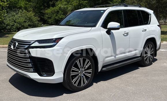 Buy Used Lexus LX White Car in Cascade in Cascade