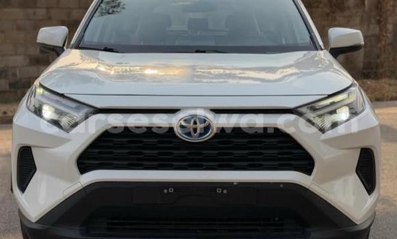Buy Used Toyota RAV4 White Car in Bel Ombre in West Mahé
