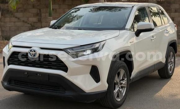 Buy Used Toyota RAV4 White Car in Bel Ombre in West Mahé Buy Used Toyota RAV4 White Car in Bel Ombre in West Mahé