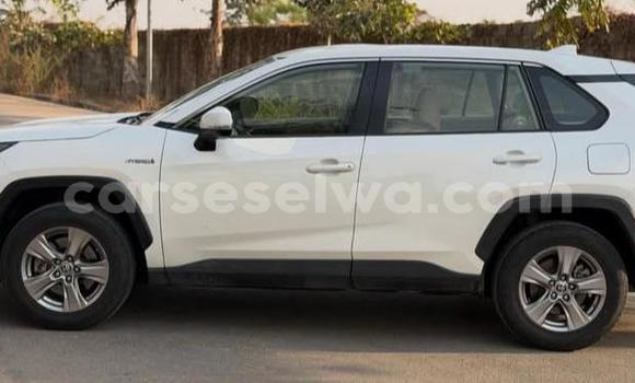 Buy Used Toyota RAV4 White Car in Bel Ombre in West Mahé Buy Used Toyota RAV4 White Car in Bel Ombre in West Mahé