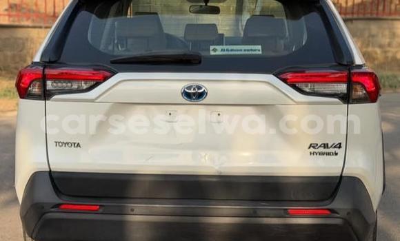Buy Used Toyota RAV4 White Car in Bel Ombre in West Mahé Buy Used Toyota RAV4 White Car in Bel Ombre in West Mahé