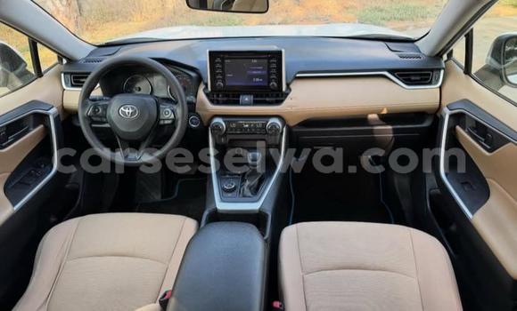 Buy Used Toyota RAV4 White Car in Bel Ombre in West Mahé Buy Used Toyota RAV4 White Car in Bel Ombre in West Mahé
