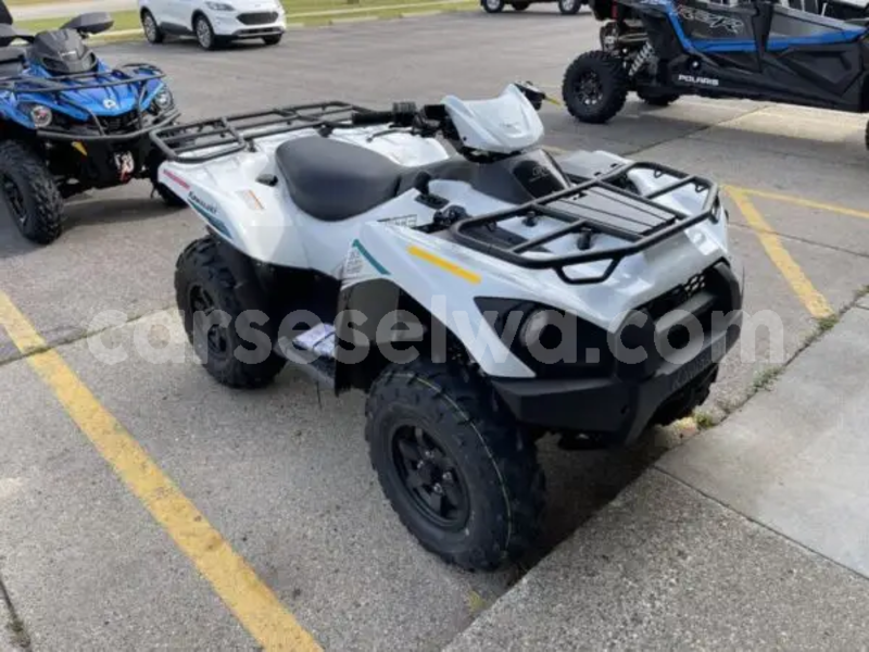Big with watermark kawasaki brute force greater victoria saint louis 8376