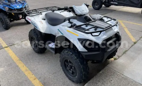 Buy New Kawasaki Brute Force White Bike in Saint Louis in Greater Victoria Buy New Kawasaki Brute Force White Bike in Saint Louis in Greater Victoria