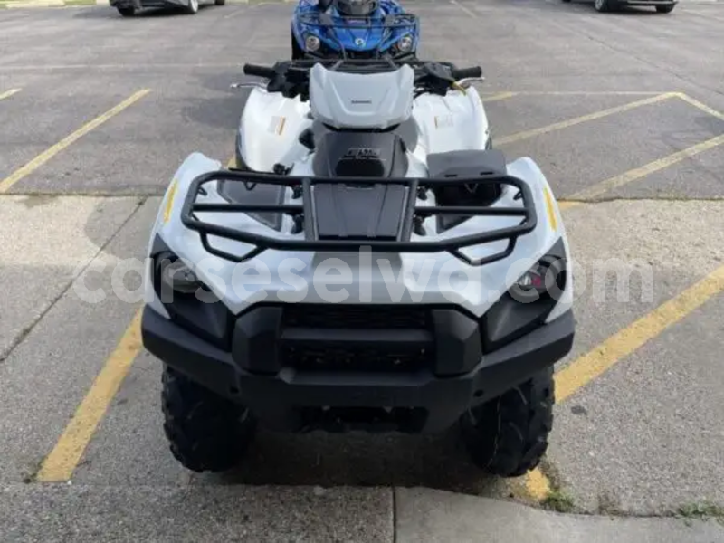 Big with watermark kawasaki brute force greater victoria saint louis 8376