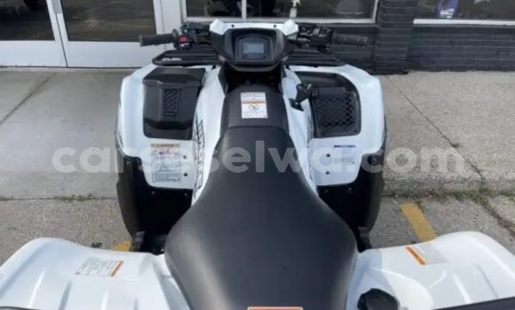Buy New Kawasaki Brute Force White Bike in Saint Louis in Greater Victoria Buy New Kawasaki Brute Force White Bike in Saint Louis in Greater Victoria