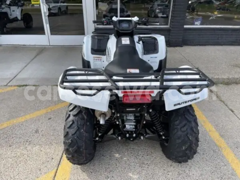 Big with watermark kawasaki brute force greater victoria saint louis 8376