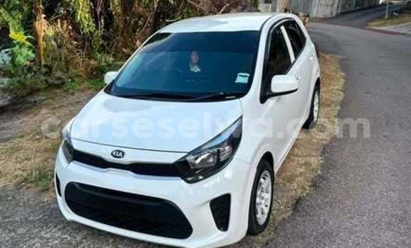 Buy Used Kia Picanto Other Car in Anse Boileau in West Mahé Buy Used Kia Picanto Other Car in Anse Boileau in West Mahé