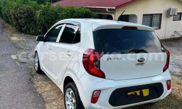 Buy Used Kia Picanto Other Car in Anse Boileau in West Mahé Buy Used Kia Picanto Other Car in Anse Boileau in West Mahé