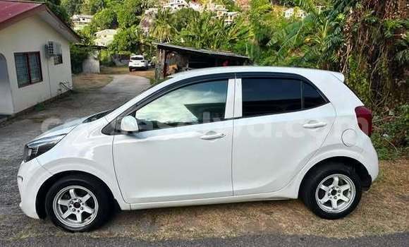 Buy Used Kia Picanto Other Car in Anse Boileau in West Mahé Buy Used Kia Picanto Other Car in Anse Boileau in West Mahé