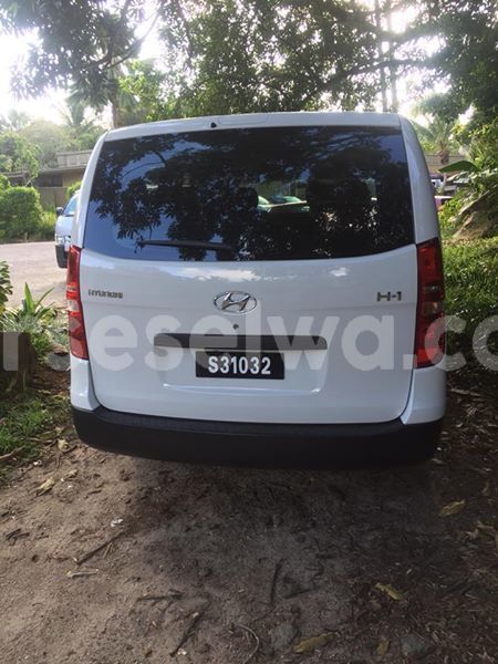 Big with watermark 46441767 517494692063366 2575554903724261376 n