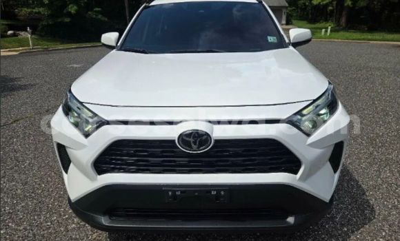 Buy Used Toyota RAV4 White Car in Beau Vallon in North Mahé