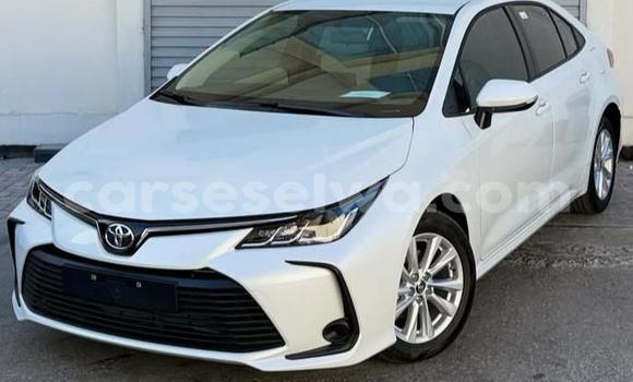 Buy Used Toyota Corolla White Car in Bel Air in Greater Victoria