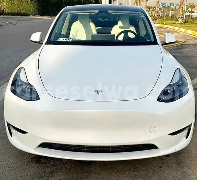 Big with watermark tesla model x greater victoria bel air 8415