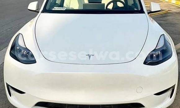 Buy Used Tesla Model X White Car in Bel Air in Greater Victoria