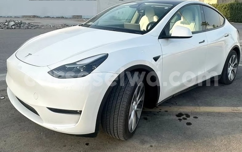 Big with watermark tesla model x greater victoria bel air 8415